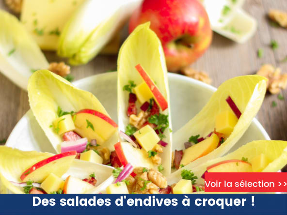 Des salades d'endives à croquer !